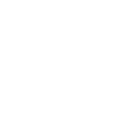 Chabad Persian Youth Center Logo
